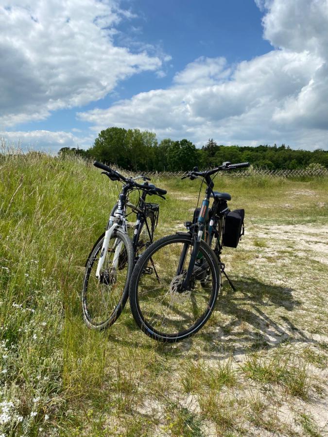 Willa Haus Strandleben Hohwacht Zewnętrze zdjęcie